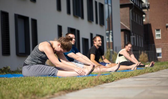 Zwei Frauen und zwei Männer sind draußen auf einer Wiese mit ihren Yogamatten und machen Yoga.